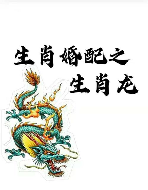 属龙什么生肖配对最好,属龙什么生肖配对最好呢