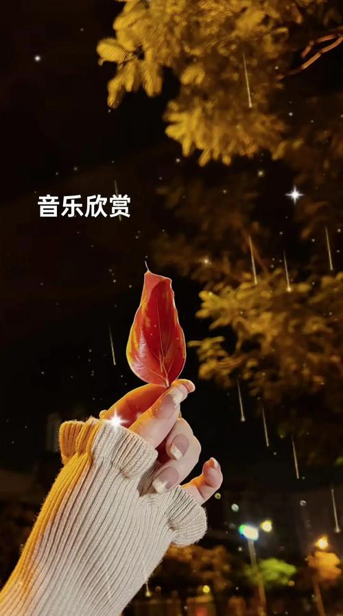 生活类背景音乐,生活类背景音乐排行榜