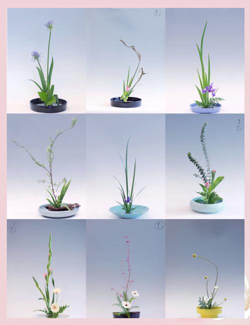 10种简单易学的插花小技巧,10种简单易学的插花小技巧图片