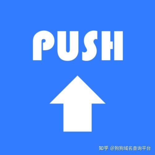 push,push是什么意思