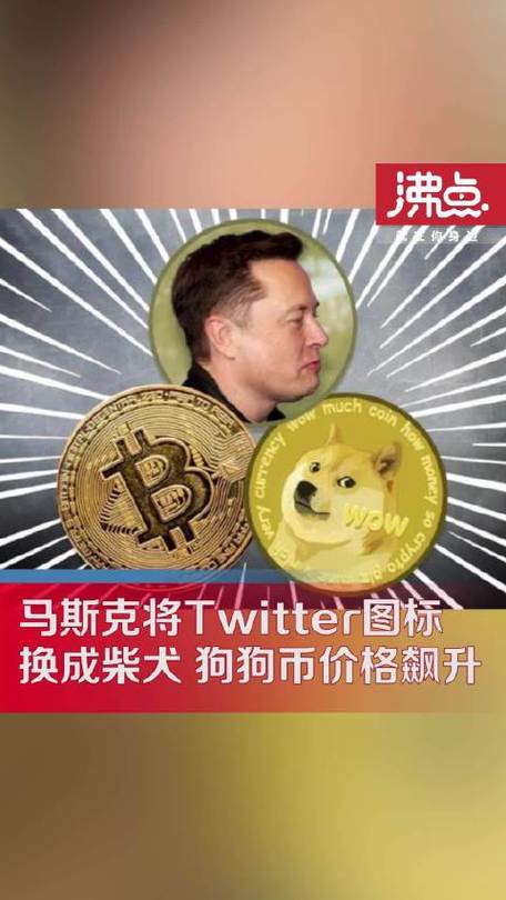 马斯克持有多少狗币,马斯克买了多少狗狗币