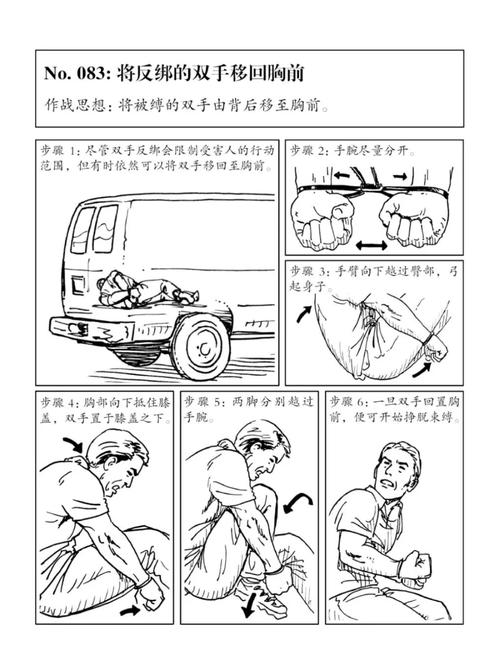 包含《特工训练手册》下载的词条