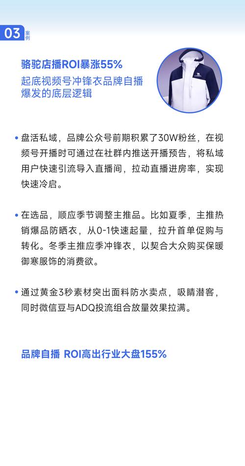超元决战：掌握角色搭配与团队协作的策略指南