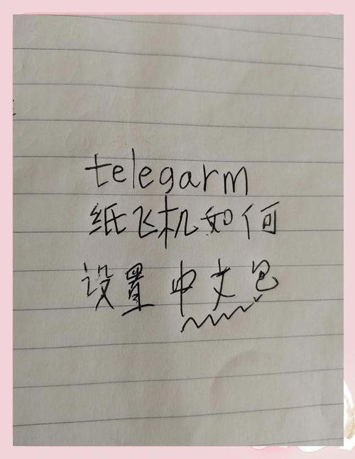 如何安装纸飞机zh_cn语言包 - 轻松提升你的使用体验