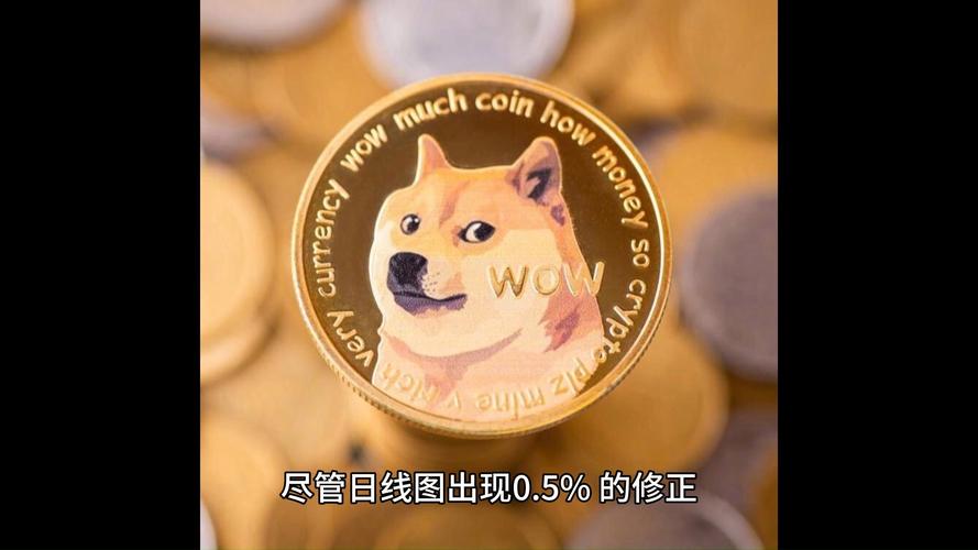 狗狗币2021涨了多少倍,狗狗币2021年涨了多少倍