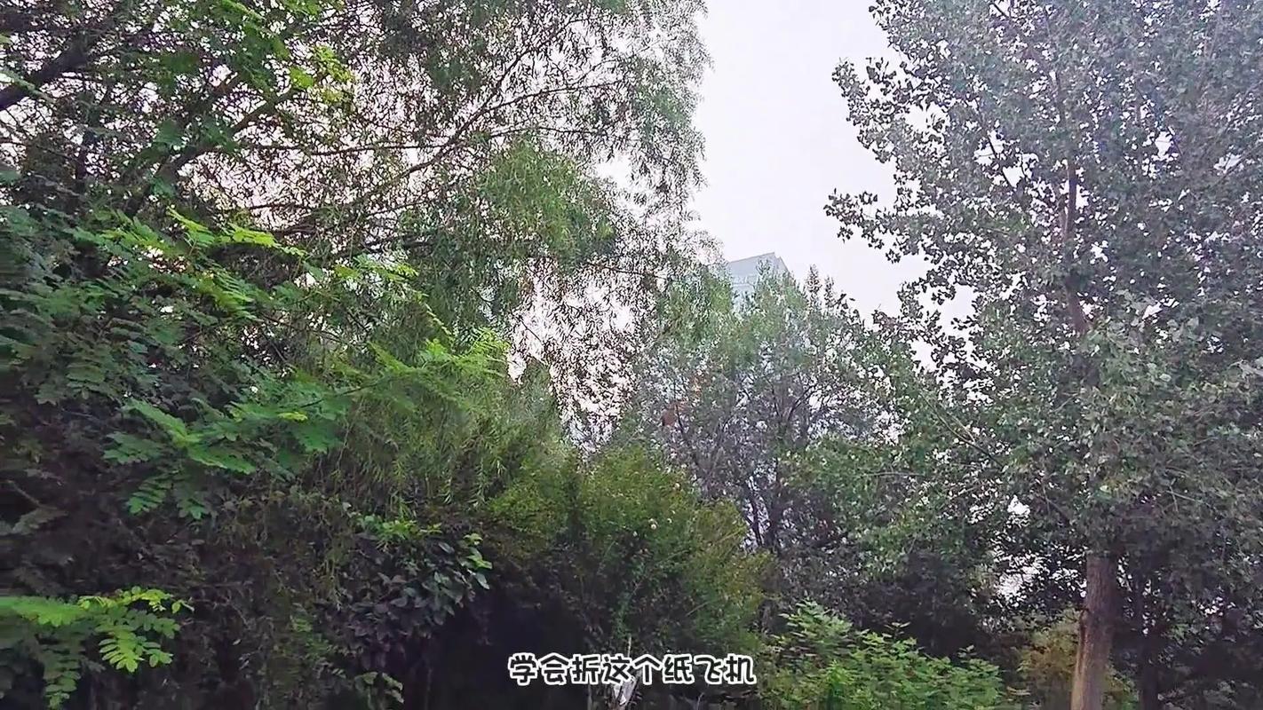纸飞机TestFlight:探索创造与飞行性能的乐趣