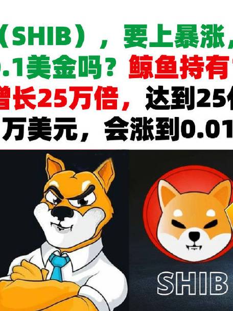 柴犬币2025年目标价,柴犬币2025会涨到1000元吗
