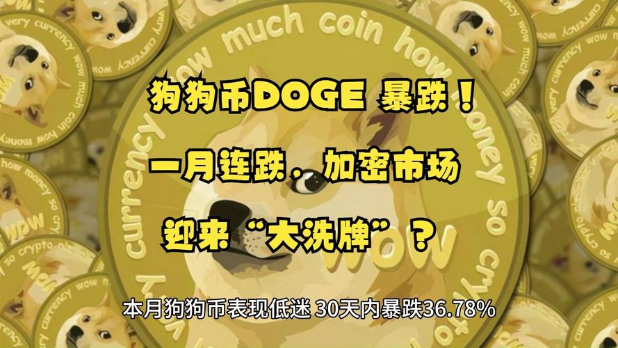 包含在酷狗音乐赚狗狗币有风险吗的词条