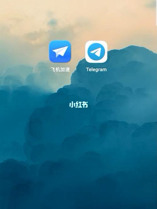 telegeram怎么读音,纸飞机telegeram官网