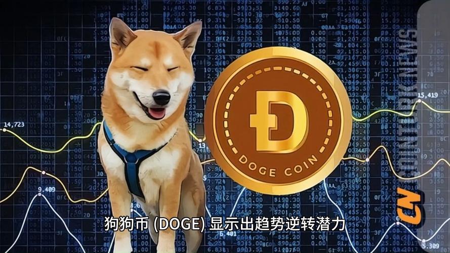 狗狗币未来10年估值,狗狗币未来的升值空间大吗