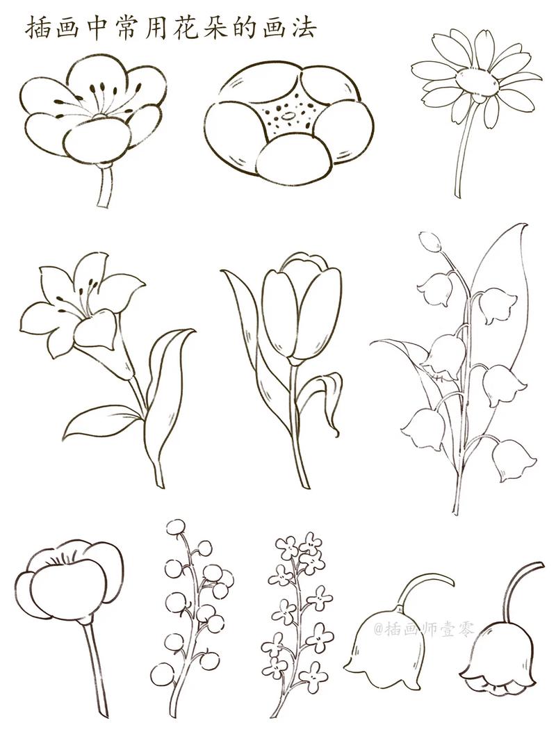 简笔画,简笔画花朵
