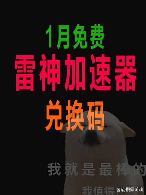 加速器兑换码在哪里,加速器兑换码在哪里输入