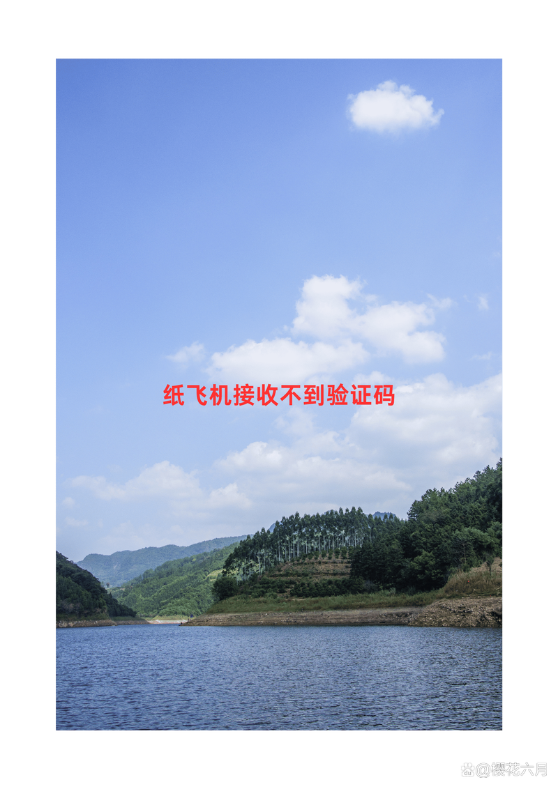 纸飞机怎么登陆不上去,纸飞机为什么在国内登录不了