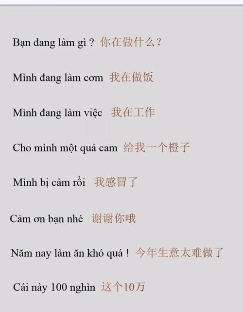 越南语zalo翻译成中文的简单介绍