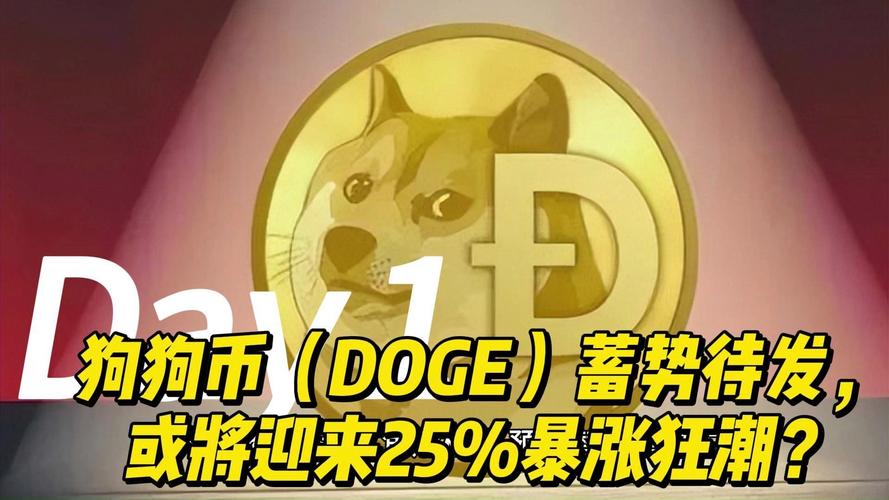 狗狗币真的能赚钱吗,狗狗币真的能赚钱吗安全吗