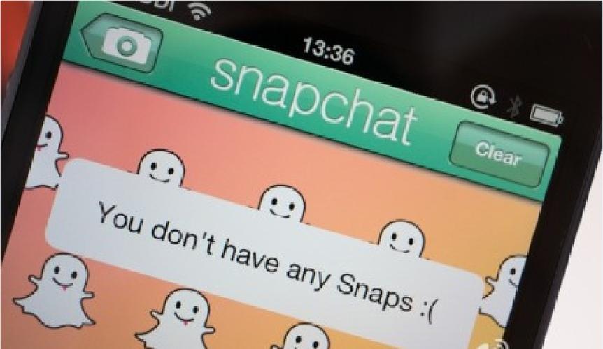 snap什么意思,video snap什么意思