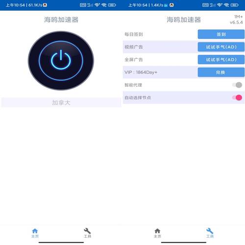 海鸥加速器v6.5.0破解版,海鸥加速器v650破解版苹果