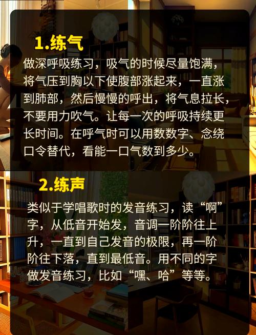 声音技巧,声音技巧训练 是什么
