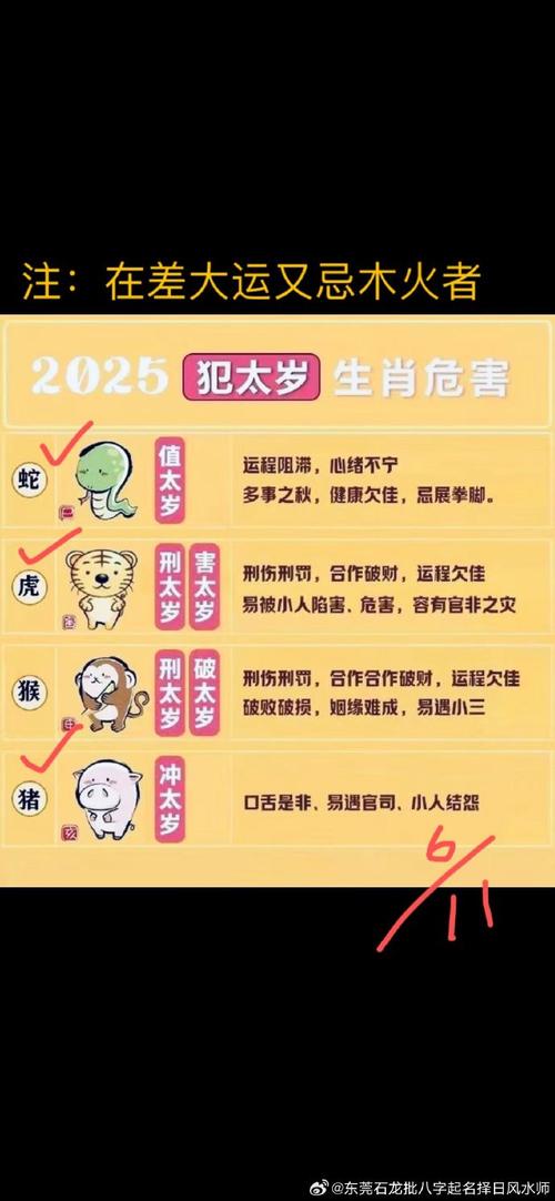 今期鸡狗来相会最准确答案,猪兄今期可结盟英雄豪杰来相会