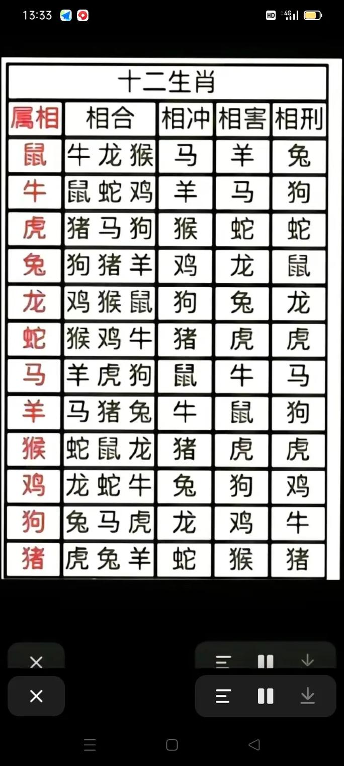 12生肖的排位表,12生肖排位表图片