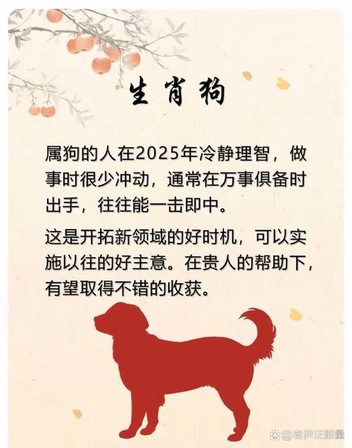 来来往往开过什么生肖,来来往往打一生肖什么意思