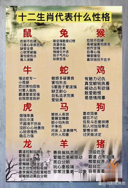 打一个十二生肖,打一个十二生肖是什么