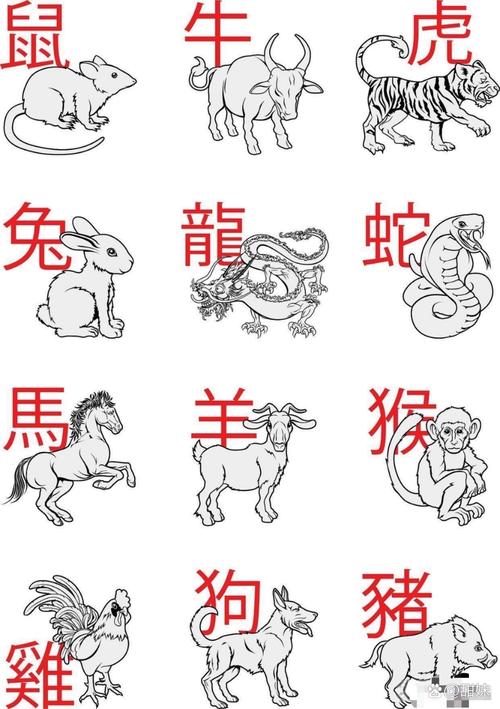 正确答案打一生肖,正确答案打一生肖无私的动物