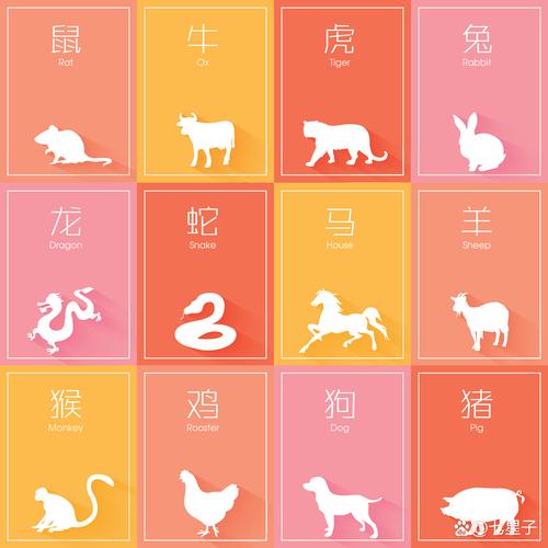 最准确答案,苹果生肖最准确答案