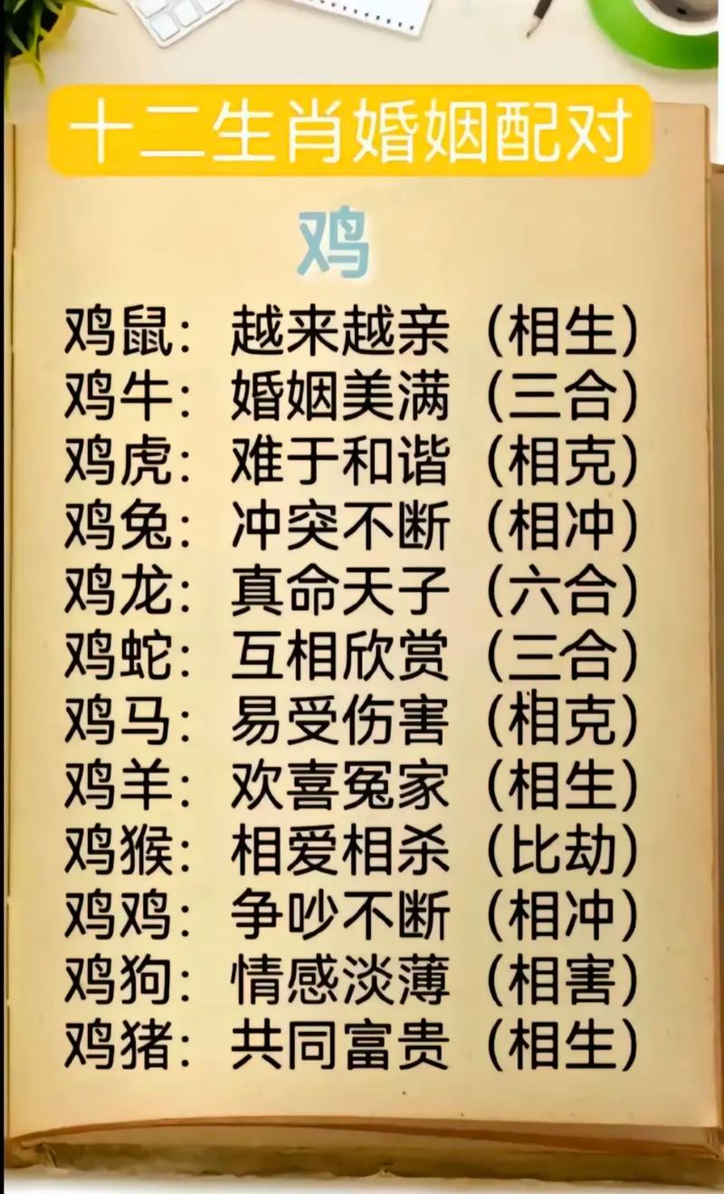 来来往往最正确一肖,来来往往正确一肖是什么