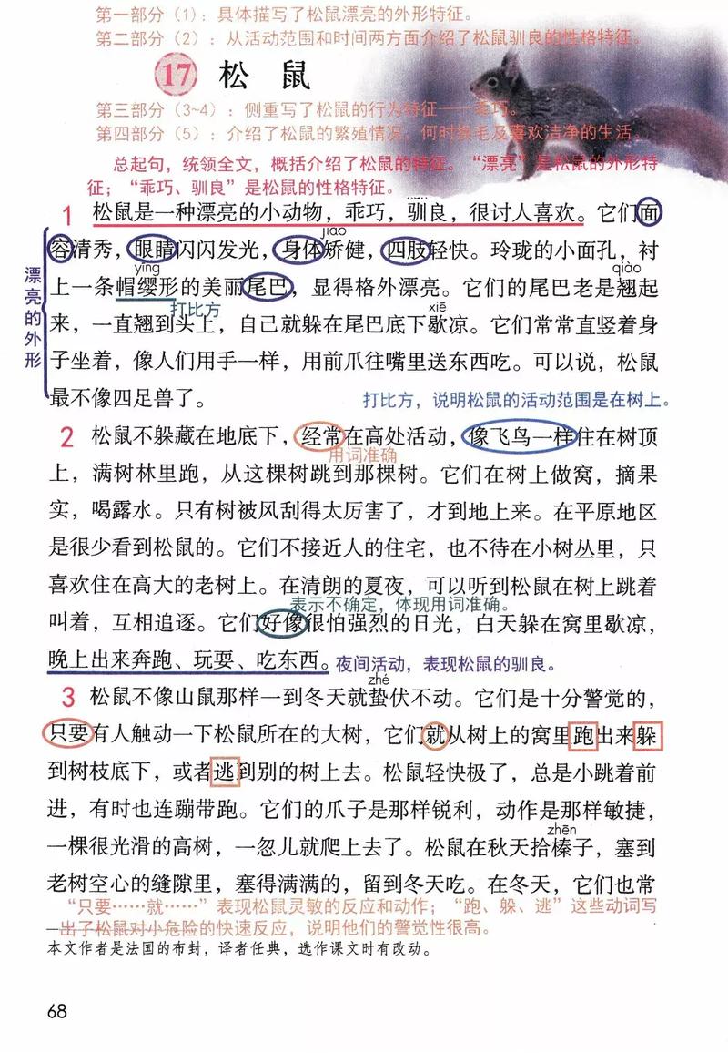 负鼠短文阅读答案,松鼠阅读理解题