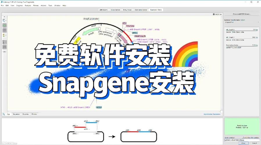 snapseed官方正版链接,snapseed官网最新 app