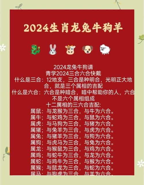开了什么生肖或数字,开代表什么生肖或数字