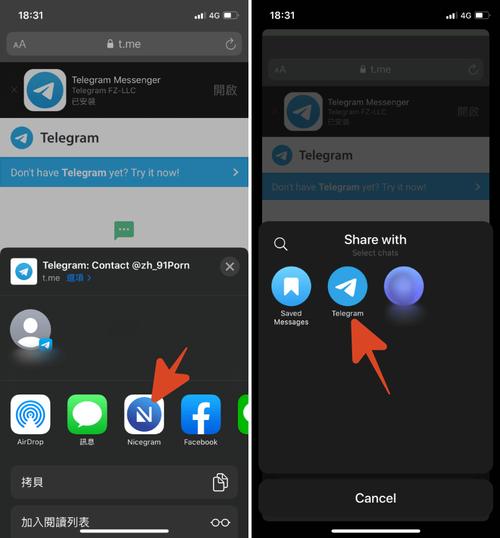 telegeram用英语怎么说,telegram怎么读音发音英语怎么说