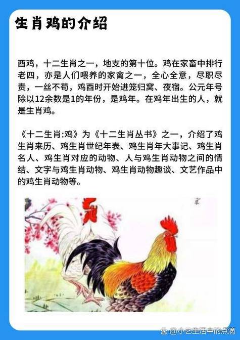 一朝成名天下知打一生肖正确答案的简单介绍