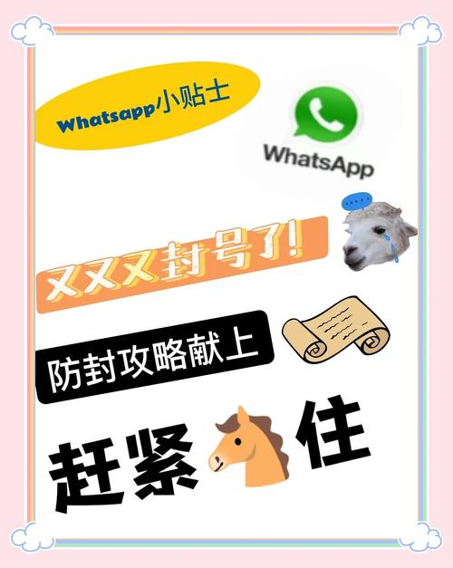 whatsapp被禁止登录,whatsapp禁止登录多久解封