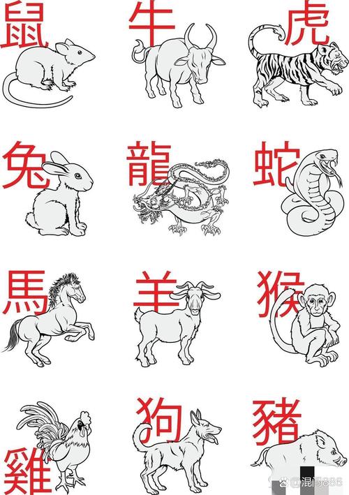 百折不回猜一生肖,百折不回的动物是什么生肖