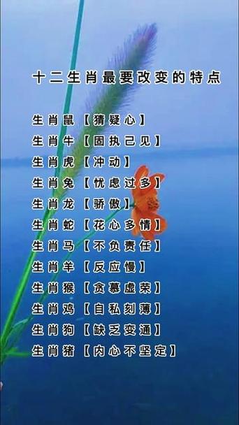 打一生肖是什么意思,打一生肖是什么意思网络用语