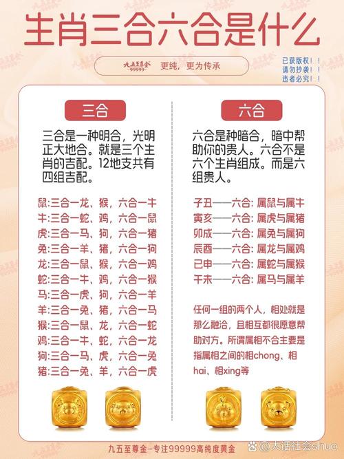 六合一打一生肖的简单介绍