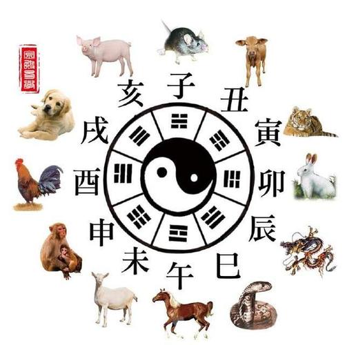 今期生肖旺西南什么意思,今期生肖旺西南是什么生肖