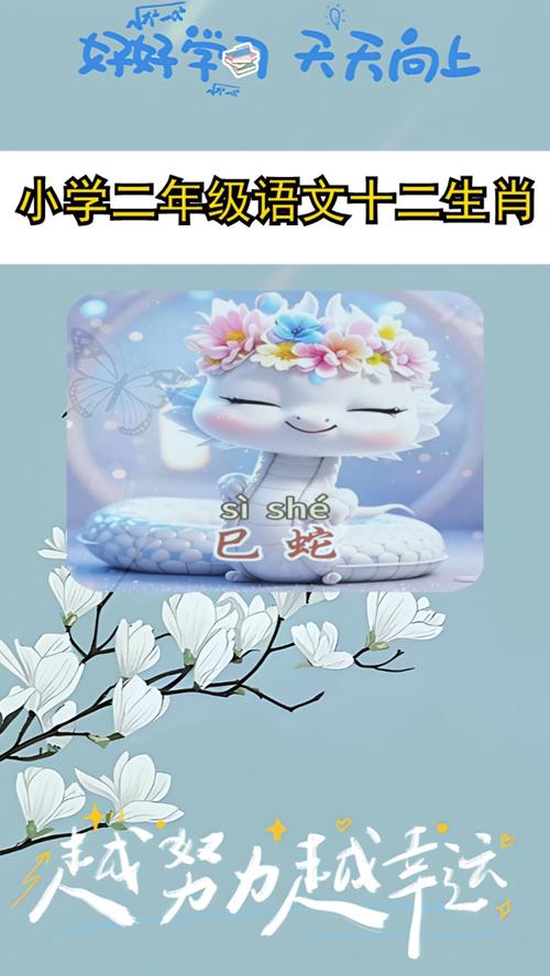 二妻生肖最佳答案,三寒二暖二芳辰猜数字