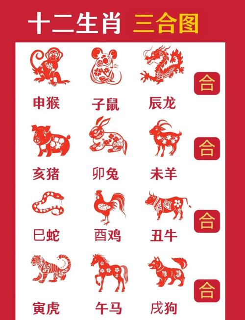 二人三足猜数字生肖,二人三足走不快是什么生肖