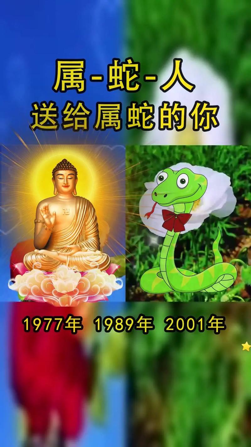 明月芳树群鸟飞打一生肖是什么的简单介绍
