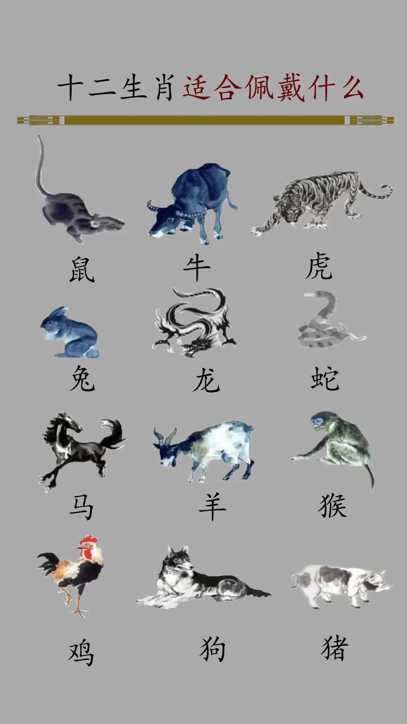 肖代表什么生肖,蝴蝶十二生肖代表什么生肖