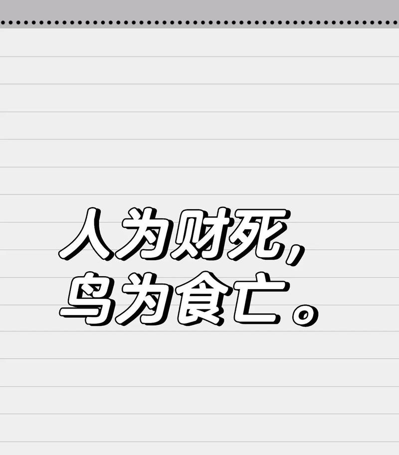 鸟为食亡猜一肖正确答案,鸟为食亡人为财是什么歌曲