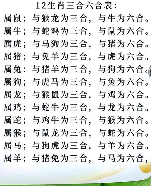 二三肖正确答案打一动物的简单介绍