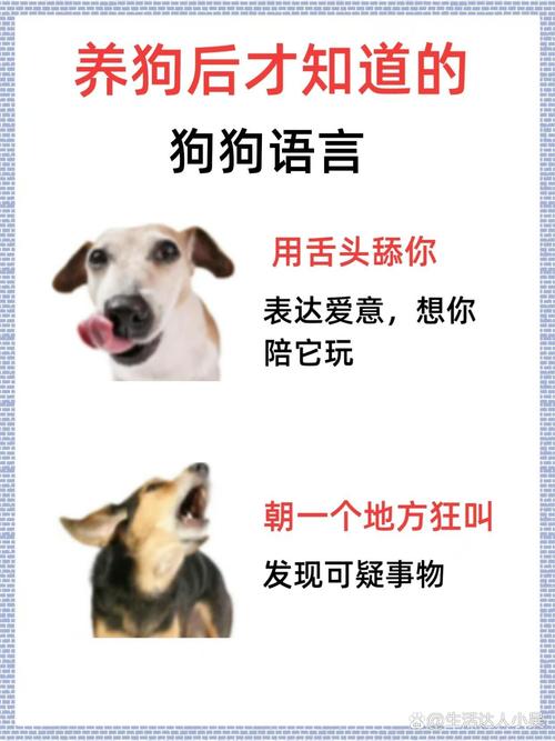 狗彘不若打一个生肖,狗彘不若的意思和造句