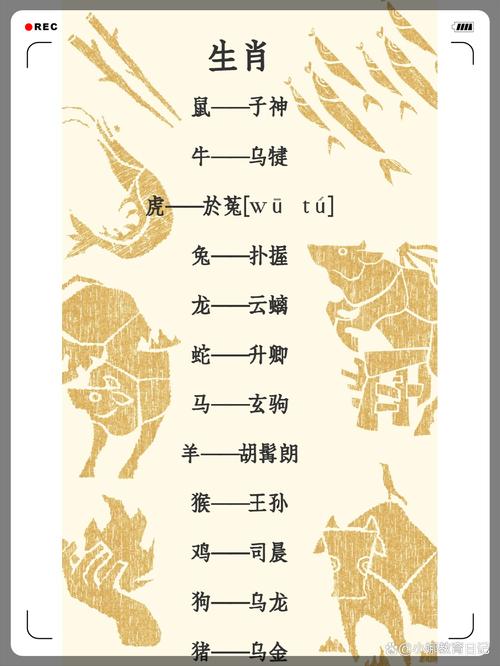 上行下效的意思,上行下效的意思是什么生肖动物