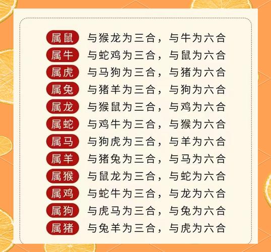 是什么生肖啊,6合6码是什么生肖啊