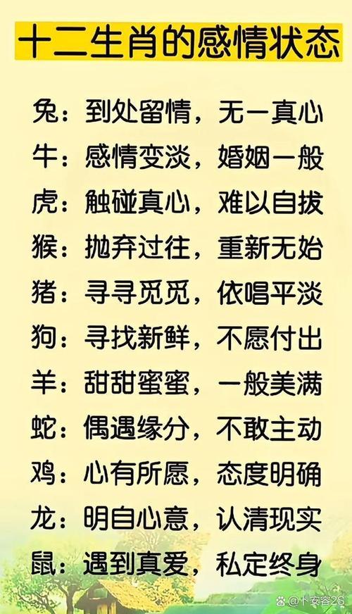 寂打一动物打一生肖,寂しいですが什么意思
