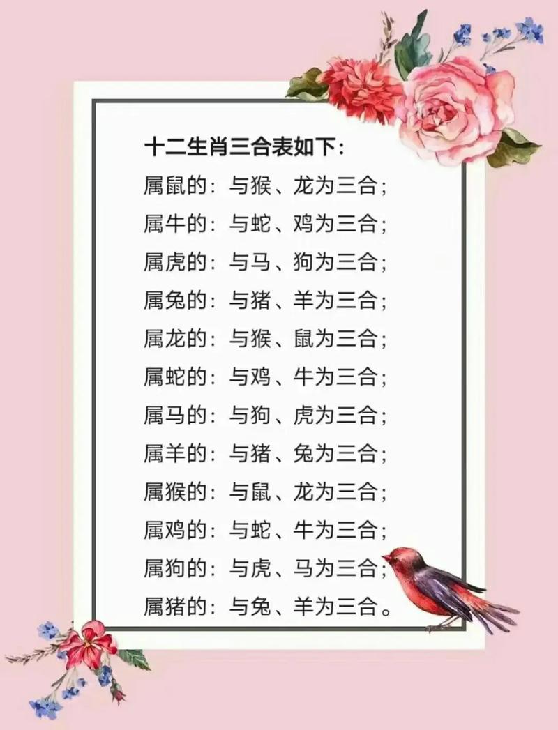 将肖指哪几个生肖,将肖指哪几个生肖动物